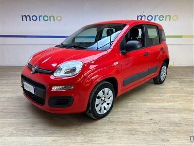 usata Fiat Panda 1.2 Pop del 2019 usata a Faenza