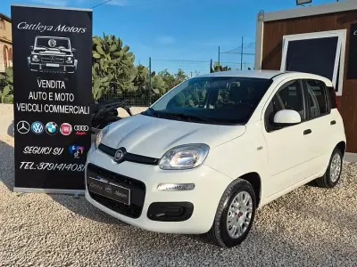 Usata Fiat Panda 69 CV (50 kW) 2019 Bianco Utilitaria