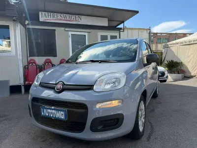 Usata Fiat Panda S 69 CV (50 kW) 2022 Grigio Utilitaria