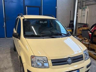 Usata Fiat Panda Dynamic 60 CV (44 kW) 2007 Giallo Utilitaria