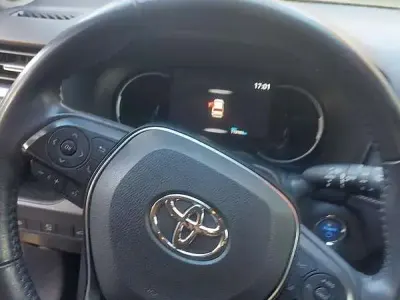 Usata Toyota RAV4 Hybrid Lounge 178 CV (130 kW) 2020 SUV