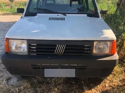 Usata Fiat Panda 4x4