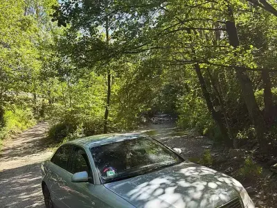 Usata Audi A4