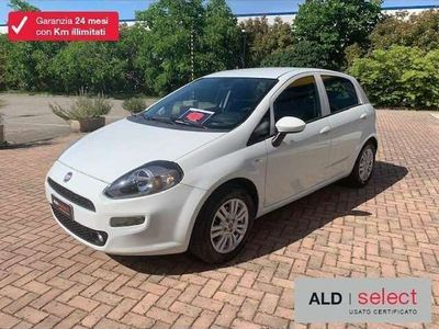usata Fiat Punto Punto1.2 8V 5 porte Lounge