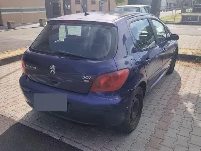 Usata Peugeot 307