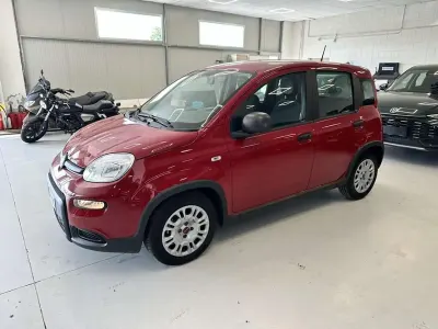 Usata Fiat Panda
