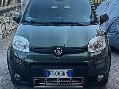 Usata Fiat Panda 4x4 95 CV (69 kW) 2018 Verde Utilitaria