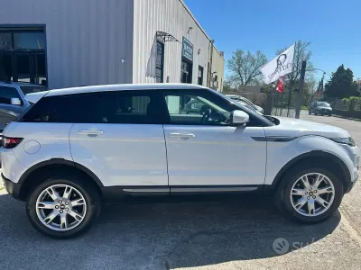 Usata Land Rover Range Rover evoque Dynamic 150 CV (110 kW) 2013 Bianco SUV