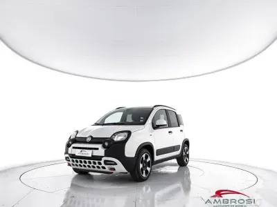 Usata Fiat Panda Cross Cross 70 CV (51 kW) 2024 Bianco Utilitaria