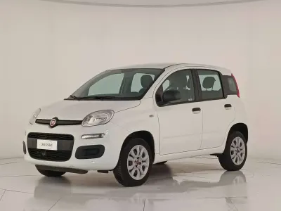Usata Fiat Panda Easy 80 CV (58 kW) 2018 Bianco gelato Utilitaria