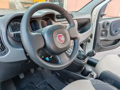 Usata Fiat Panda 4x4 75 CV (55 kW) 2015 Bianco Utilitaria