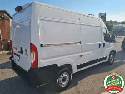 Usata Fiat Ducato