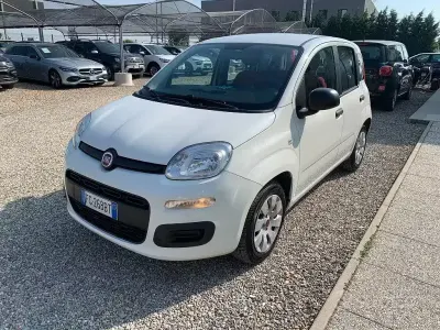 Usata Fiat Panda Easy 69 CV (50 kW) 2016 Bianco Utilitaria
