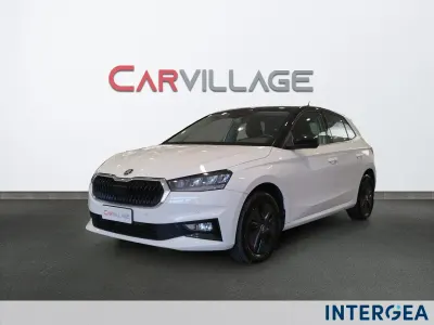 Usata Skoda Fabia