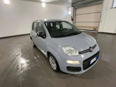 Usata Fiat Panda