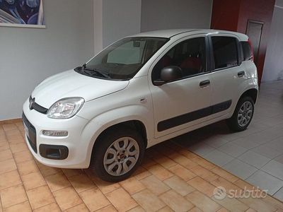 Usata Fiat Panda 4x4 84 CV (61 kW) 2019 Bianco Utilitaria