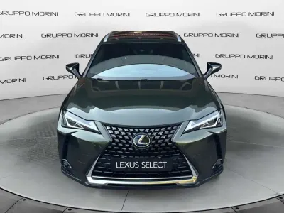 Usata Lexus UX 250h 184 CV (135 kW) 2019 Other SUV