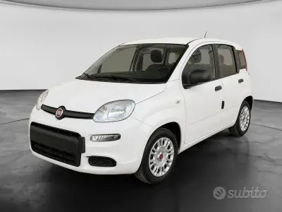 Usata Fiat Panda City Life 70 CV (51 kW) 2022 Bianco Utilitaria