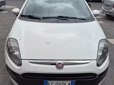 Usata Fiat Punto Evo Life 69 CV (50 kW) 2011 Bianco Utilitaria