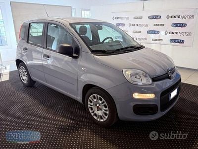 Usata Fiat Panda 70 CV (51 kW) 2022 Grigio pastello Utilitaria