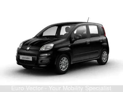 Usata Fiat Panda S 69 CV (50 kW) 2024 Nero Utilitaria