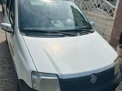 Usata Fiat Panda 69 CV (50 kW) 2009 Bianco Utilitaria