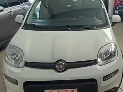 Usata Fiat Panda City Life 69 CV (50 kW) 2023 Bianco Utilitaria