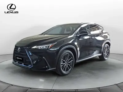 Usata Lexus NX300 Luxury Line 309 CV (227 kW) 2025 Grigio SUV