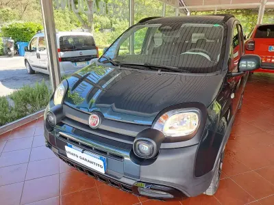 Usata Fiat Panda Cross Cross 69 CV (50 kW) 2025 Verde Utilitaria