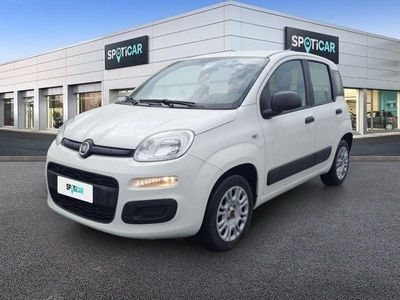 usata Fiat Panda 1.2 69cv E6 Easy