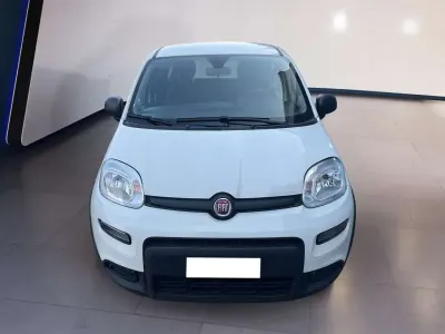 Usata Fiat Panda S 69 CV (50 kW) 2024 Other Utilitaria