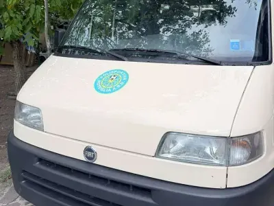 Usata Fiat Ducato 116 CV (85 kW) 1997 Oro Furgone