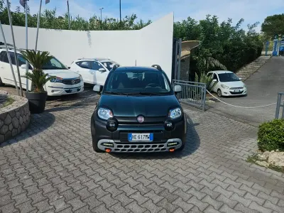Usata Fiat Panda Cross Cross 70 CV (51 kW) 2022 Verde Utilitaria
