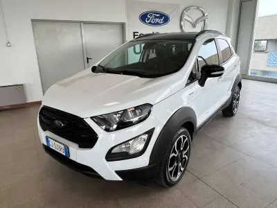 Usata Ford Ecosport Active 125 CV (91 kW) 2022 Frozen white+tetto nero SUV