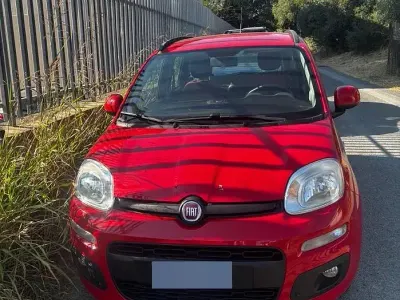 Usata Fiat Panda 95 CV (69 kW) 2017 Rosso Utilitaria