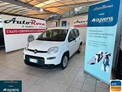 Usata Fiat Panda S 70 CV (51 kW) 2024 Bianco Utilitaria