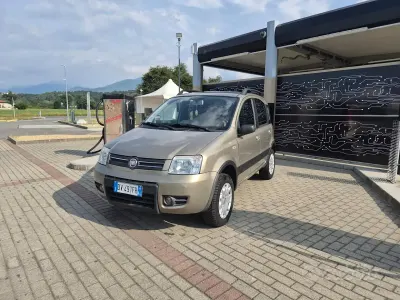 Usata Fiat Panda 4x4 Climbing 60 CV (44 kW) 2009 Grigio Utilitaria