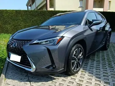 Usata Lexus UX 184 CV (135 kW) 2019 Grigio SUV