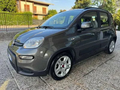 Usata Fiat Panda City Life 69 CV (50 kW) 2023 Grigio Utilitaria