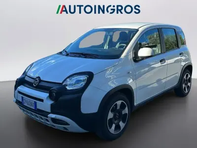 Usata Fiat Panda Cross Cross 69 CV (50 kW) 2023 Bianco Utilitaria