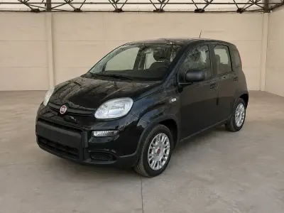 Usata Fiat Panda