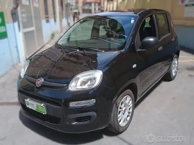 Usata Fiat Panda Easy 69 CV (50 kW) 2021 Nero Utilitaria