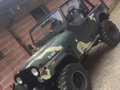 Usata Jeep CJ 1980 Verde SUV