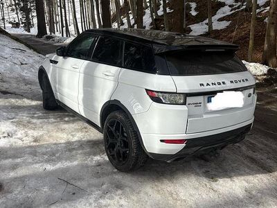 Usata Land Rover Range Rover evoque 190 CV (139 kW) 2015 Bianco SUV