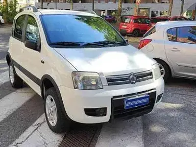 Usata Fiat Panda 4x4 Climbing 69 CV (50 kW) 2008 Bianco pastello Utilitaria
