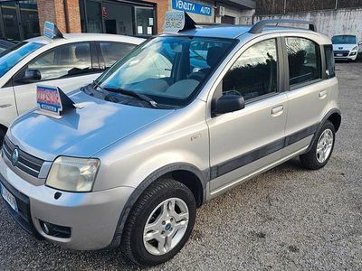 Usata Fiat Panda 4x4 Climbing 59 CV (43 kW) 2005 Argento Utilitaria