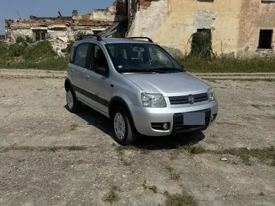 Usata Fiat Panda 4x4 60 CV (44 kW) 2008 Grigio Utilitaria