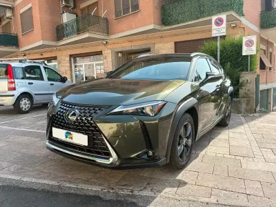 Usata Lexus UX 300h 152 CV (111 kW) 2024 Verde SUV