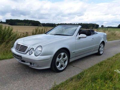 usata Mercedes CLK230 Cabrio k evo Elegance