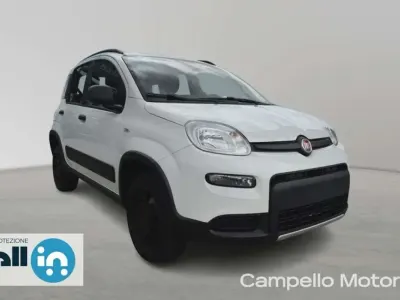 Usata Fiat Panda 4x4 Wild 84 CV (61 kW) 2021 Bianco Utilitaria